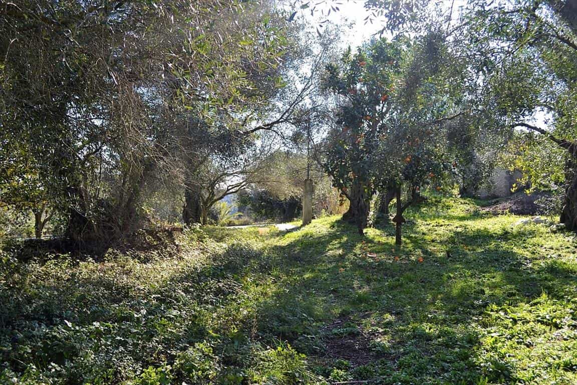 Land in Agios Onoufrios,  10800511