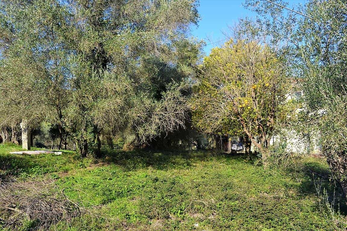 Land in Agios Onoufrios,  10800511