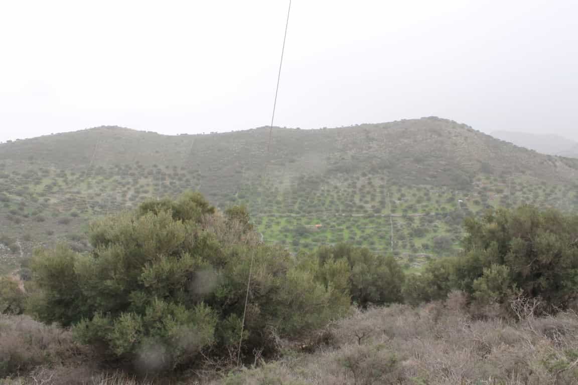 Земельные участки в Ацимпрага, Крити 10800600