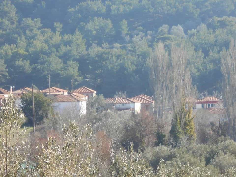 House in Pterounta,  10800614