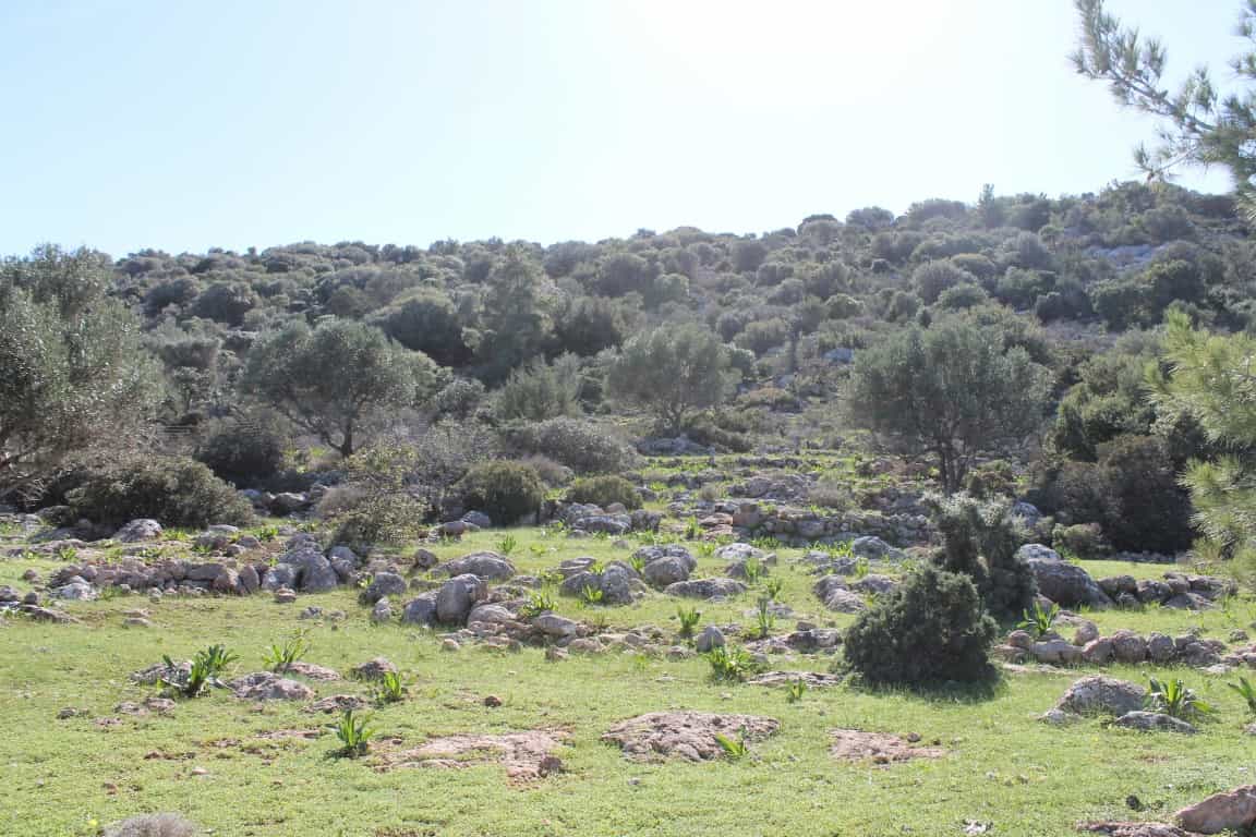 Land in Agios Nikolaos, Kriti 10800664