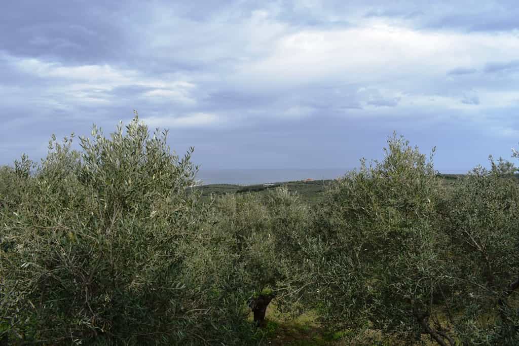 Земельные участки в Даскалиана, Крити 10800677
