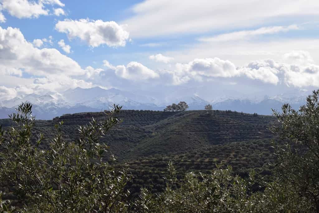 Земельные участки в Даскалиана, Крити 10800692