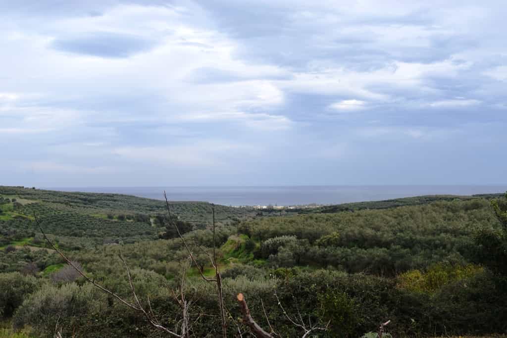 Земельные участки в Даскалиана, Крити 10800700