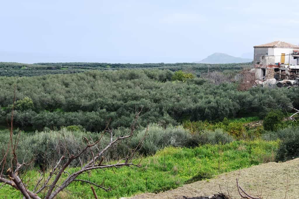Земельные участки в Даскалиана, Крити 10800700