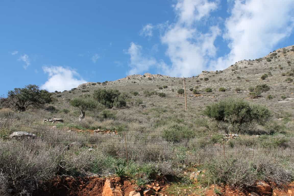 Земельные участки в Ацимпрага, Крити 10800759