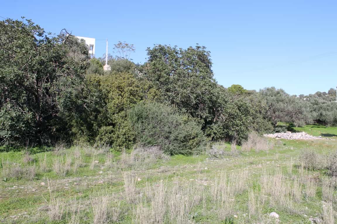 Tanah dalam Agios Nikolaos, Kriti 10801003