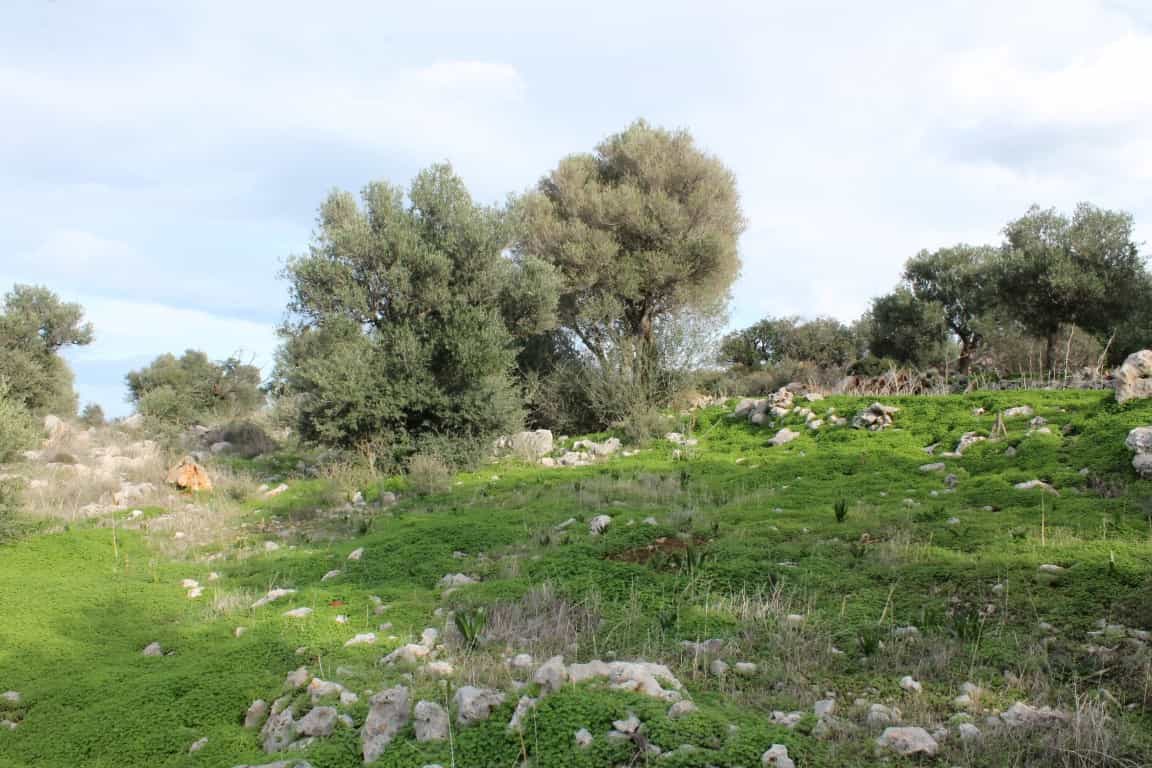Tanah dalam Agios Nikolaos, Kriti 10801041