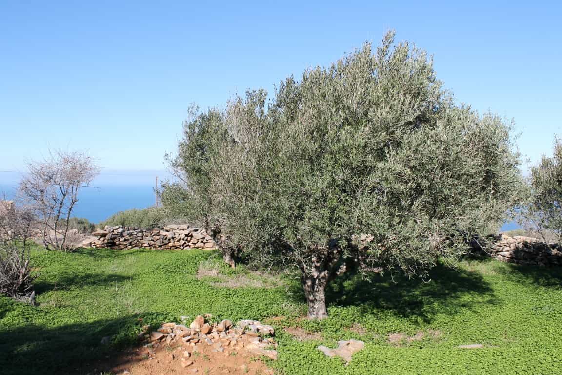 Земельные участки в Ацимпрага, Крити 10801103