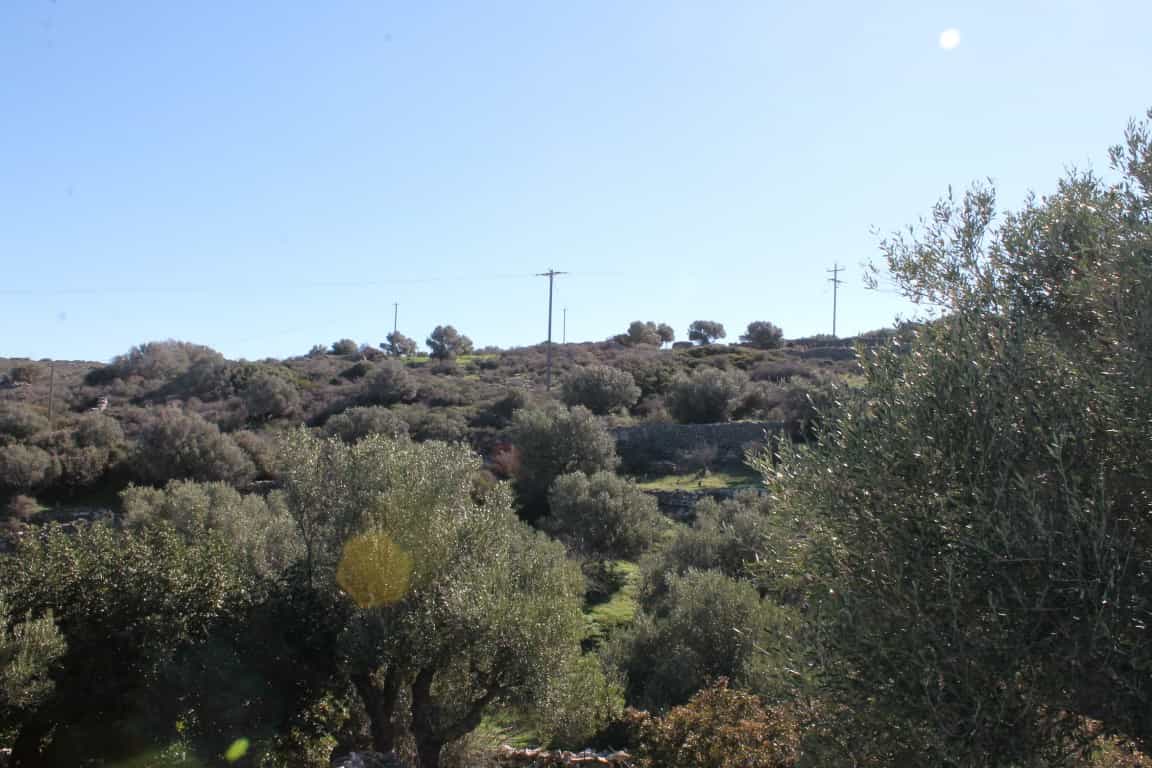 Земельные участки в Ацимпрага, Крити 10801108