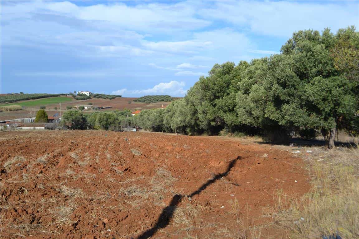 Tanah dalam Platamonas, Kentriki Makedonia 10801259