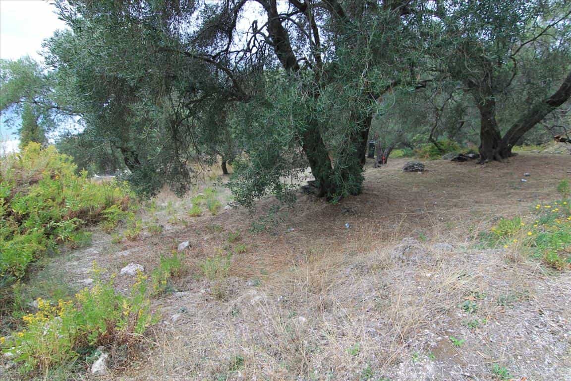 Tanah dalam Sinarades, Ionia Nisia 10801349