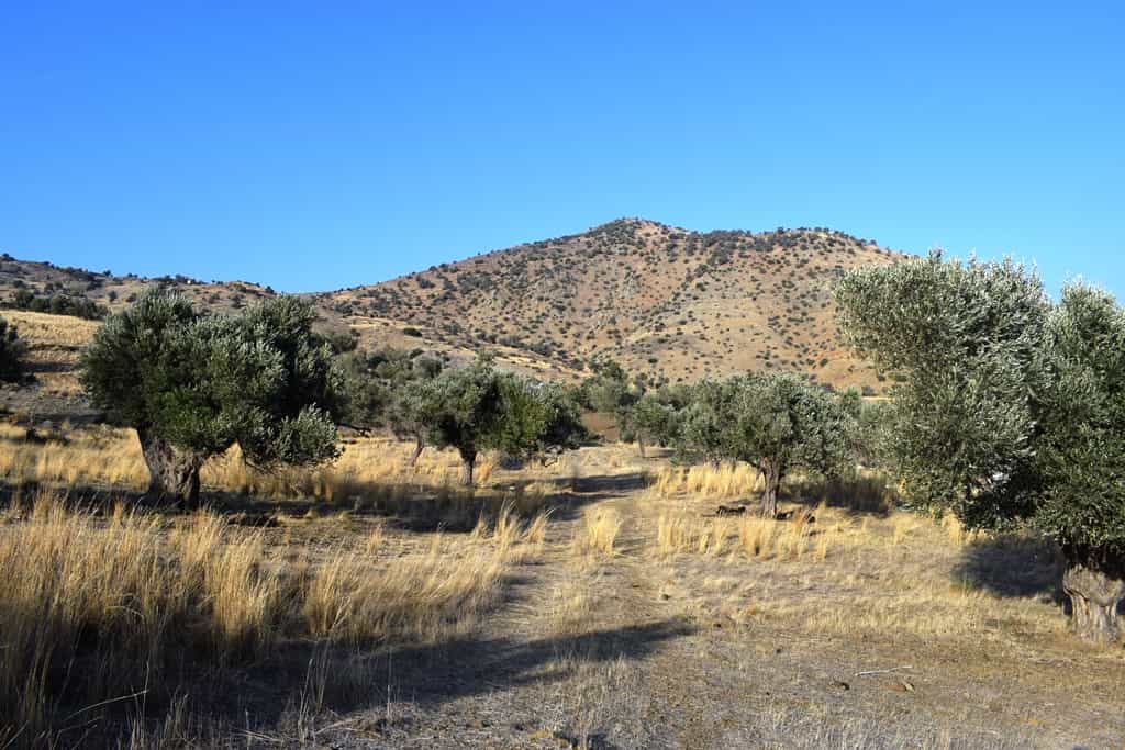 Land in Agia Galini, Kriti 10801393