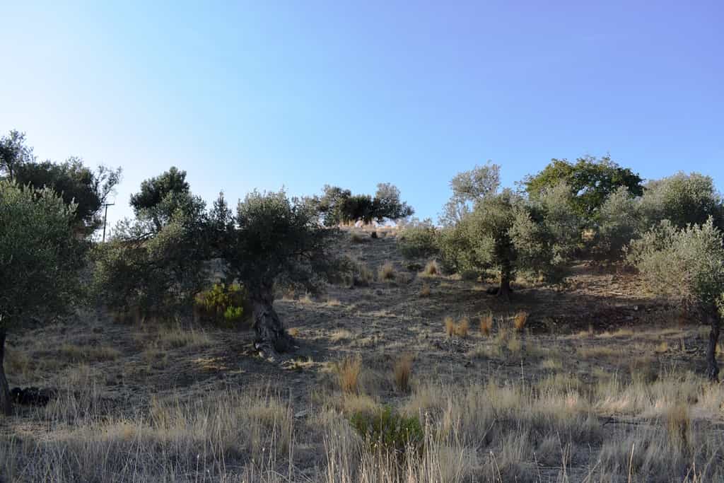 Земельные участки в Agia Galini, Kriti 10801393