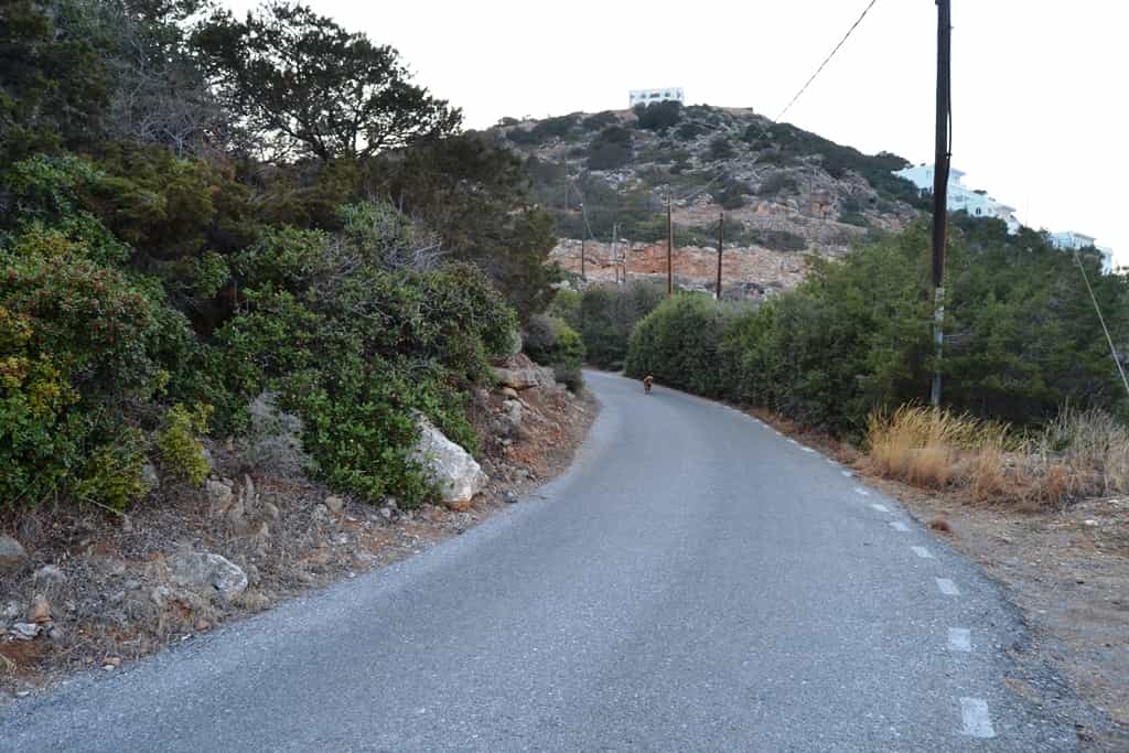 Land im Agios Nikolaos, Kriti 10801561