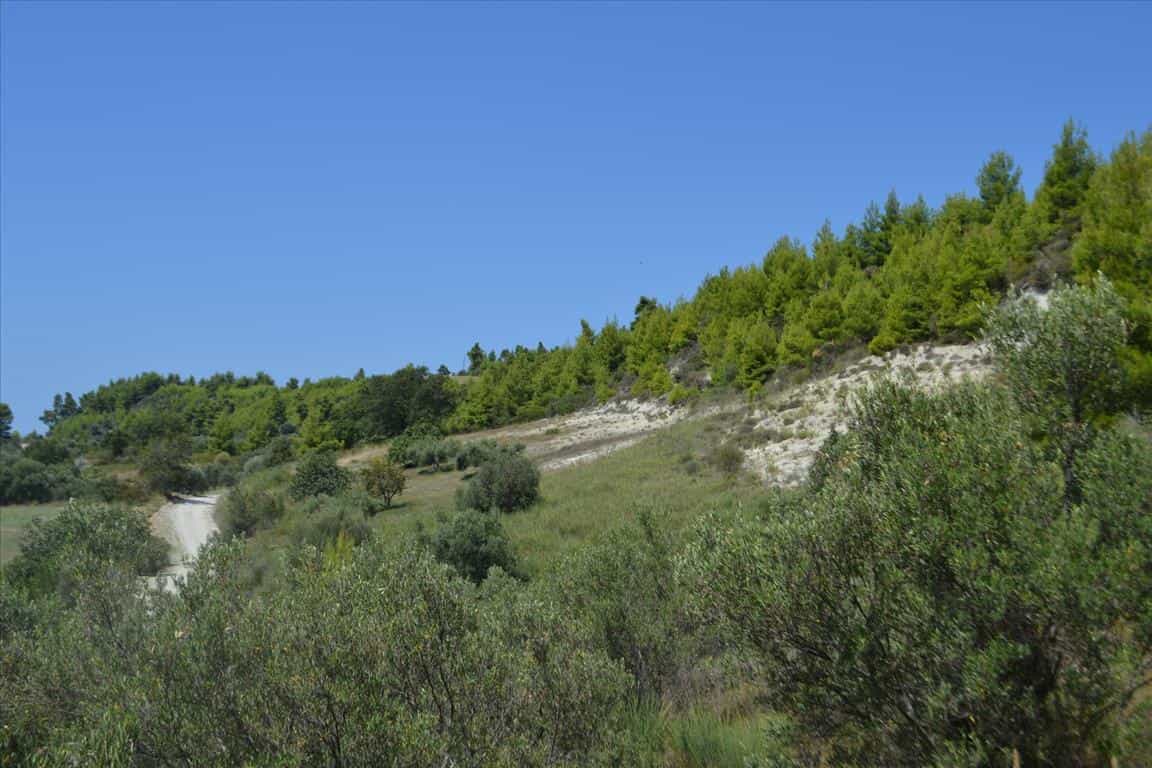 Tierra en Kassandreia, Kentriki Macedonia 10801681