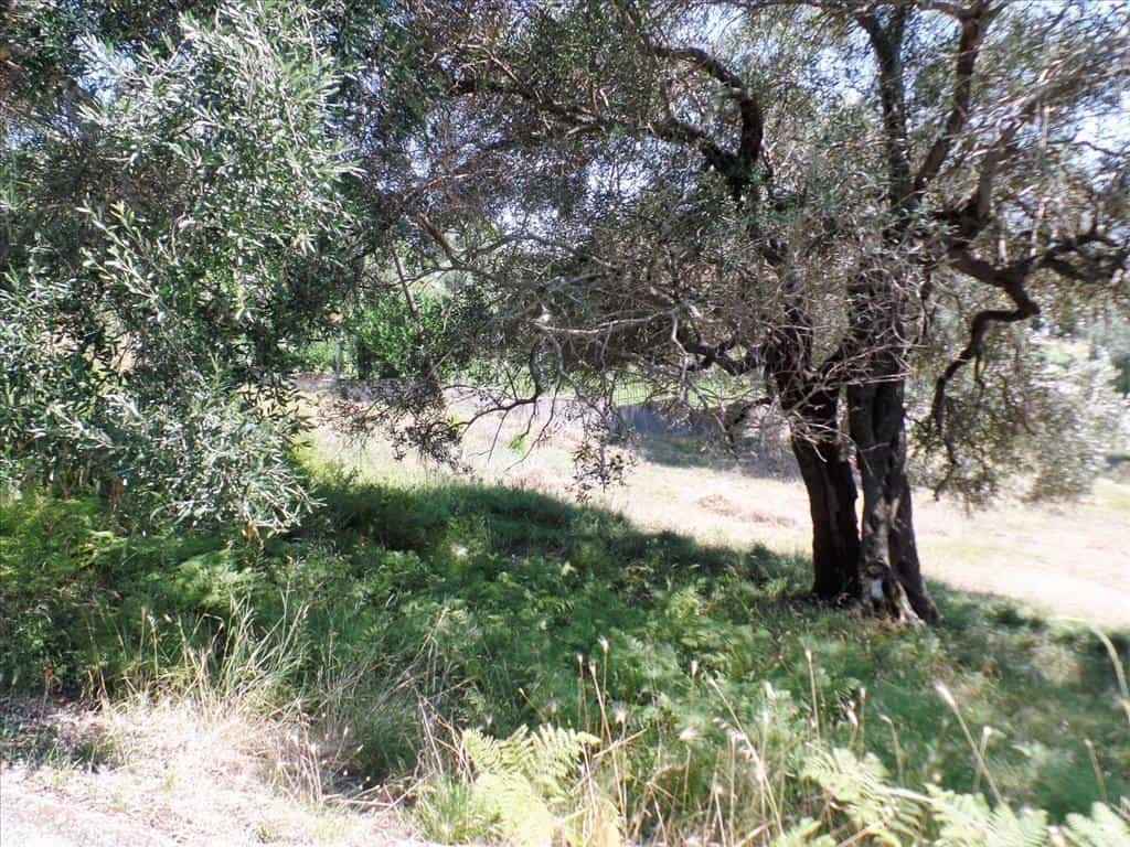 Land in Alepou, Ionia Nisia 10801849