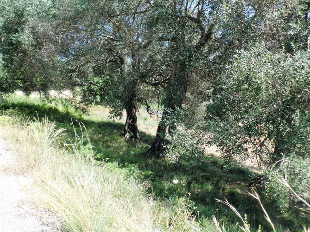 Tanah di Alepou, Ionia Nisia 10801849
