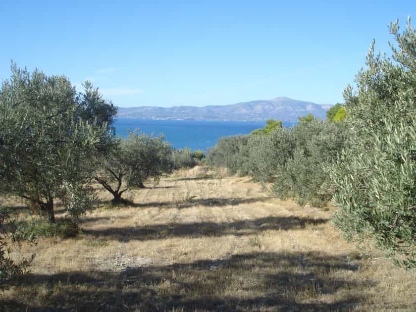 Land in Markopoulo, Attiki 10801895