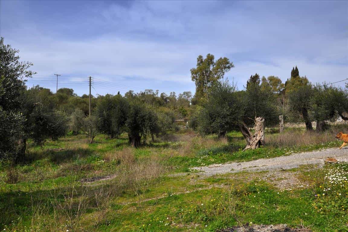 Tanah dalam Agios Vlasios, Ionia Nisia 10801930