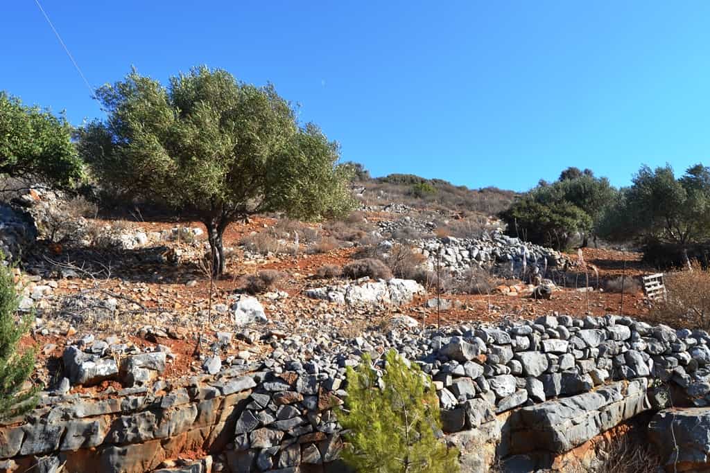Земельные участки в Ацимпрага, Крити 10801956