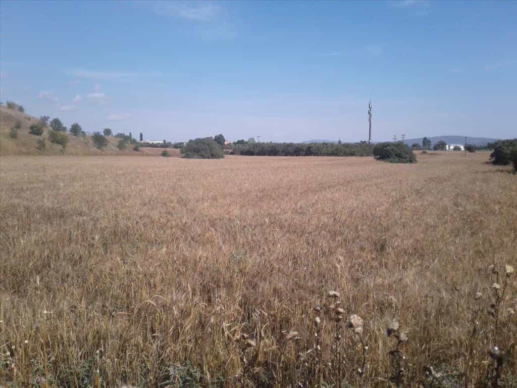 Land in Thermi, Kentriki Makedonia 10802203