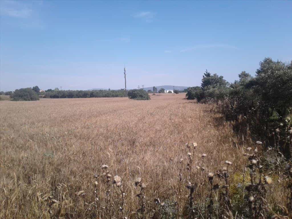 Land in Thermi, Kentriki Makedonia 10802203