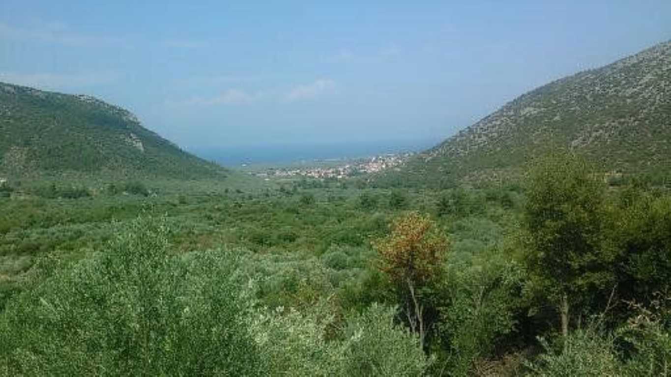 Terre dans Maries, Anatoliki Makedonia kai Thraki 10802241