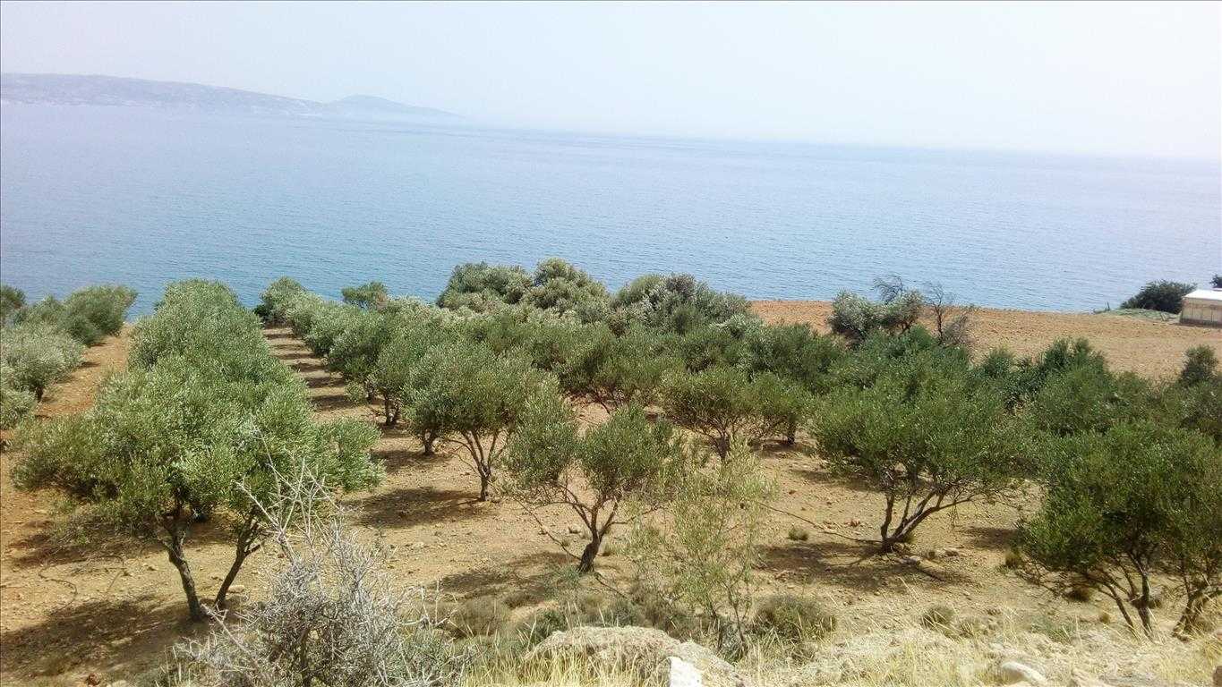 Земельные участки в Агия Галини, Крити 10802277