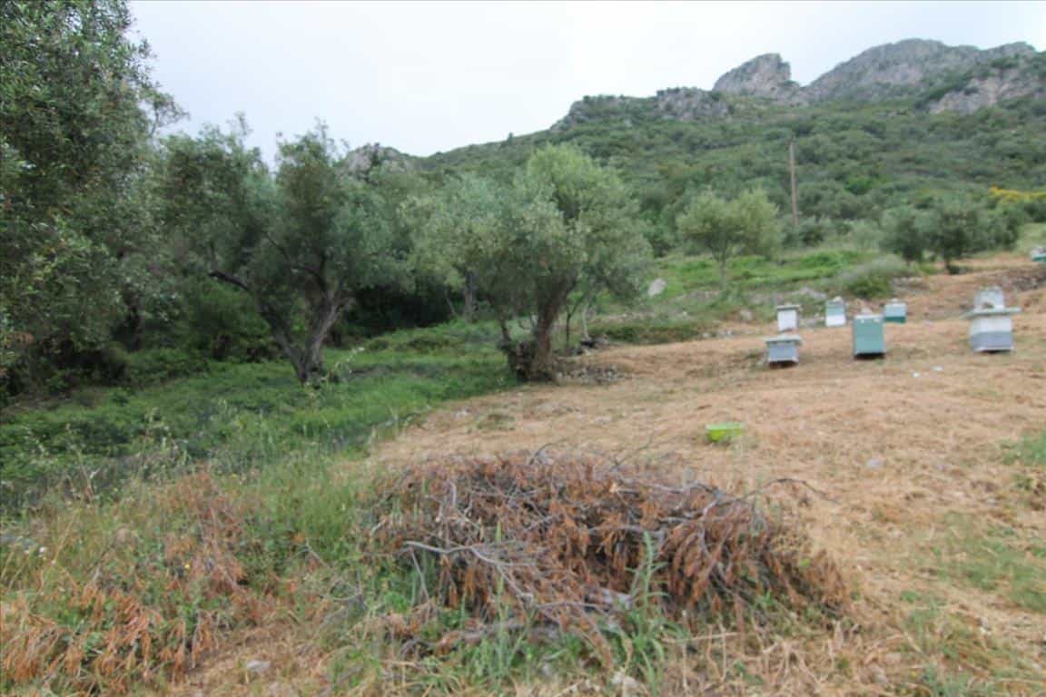 Tanah di Doukades, Ionia Nisia 10802348