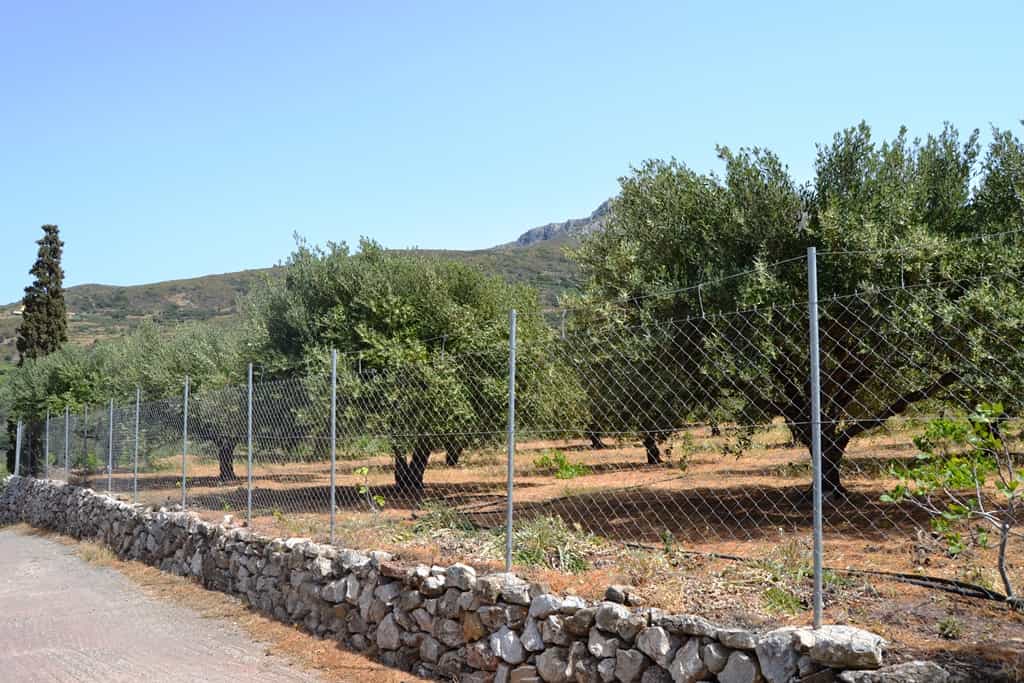 Land in Agia Fotia, Kriti 10802367
