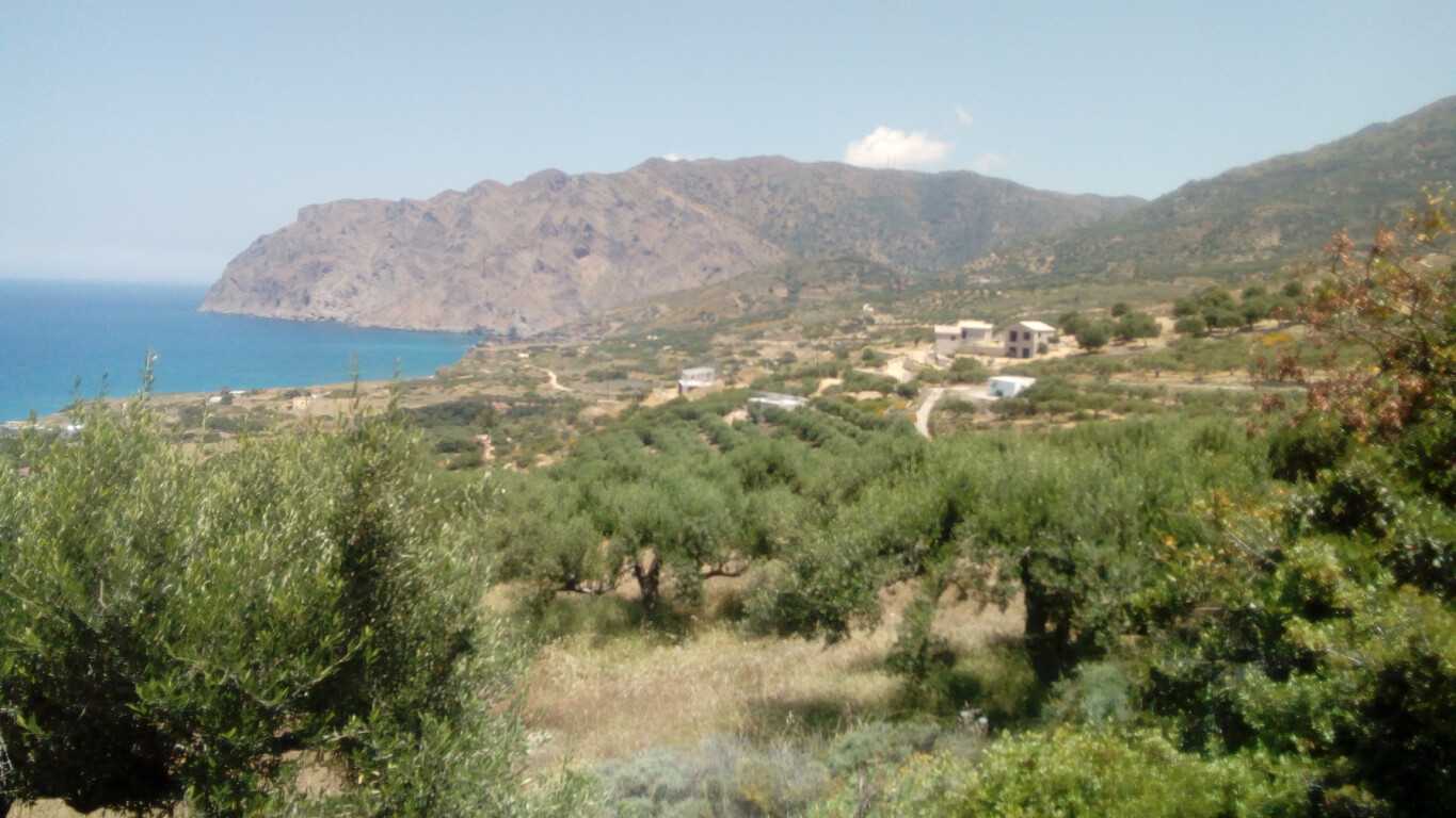 Земельные участки в Сфака, Крити 10802593