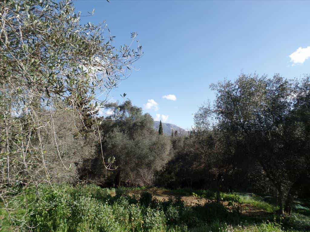 Tanah di Gazatika, Ionia Nisia 10802610