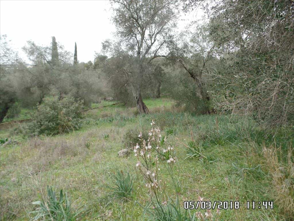 Land in Gazatika, Ionia Nisia 10802672