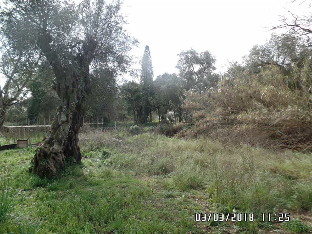 Land in Analipsi, Ionië Nisia 10802675