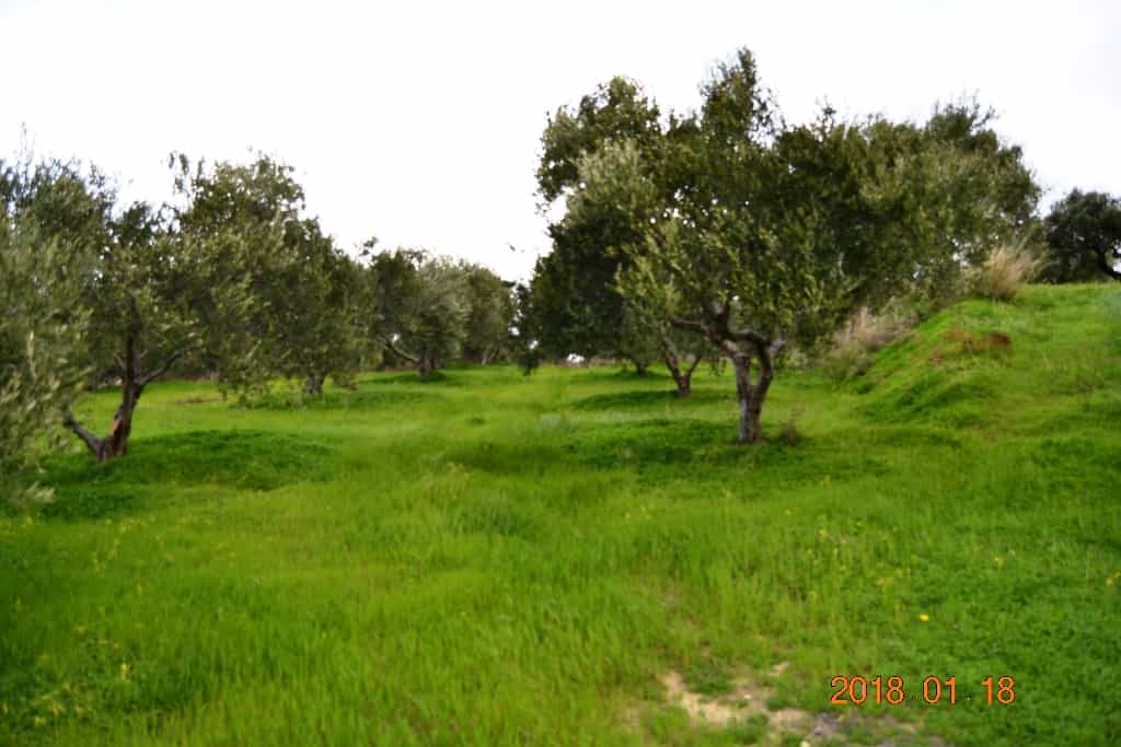 Tanah dalam Epano Vatheia, Kriti 10802917