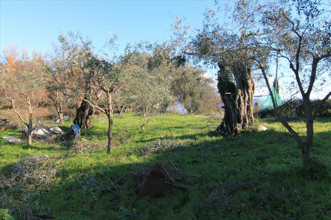 Tanah dalam Kassiopi, Ionia Nisia 10803011