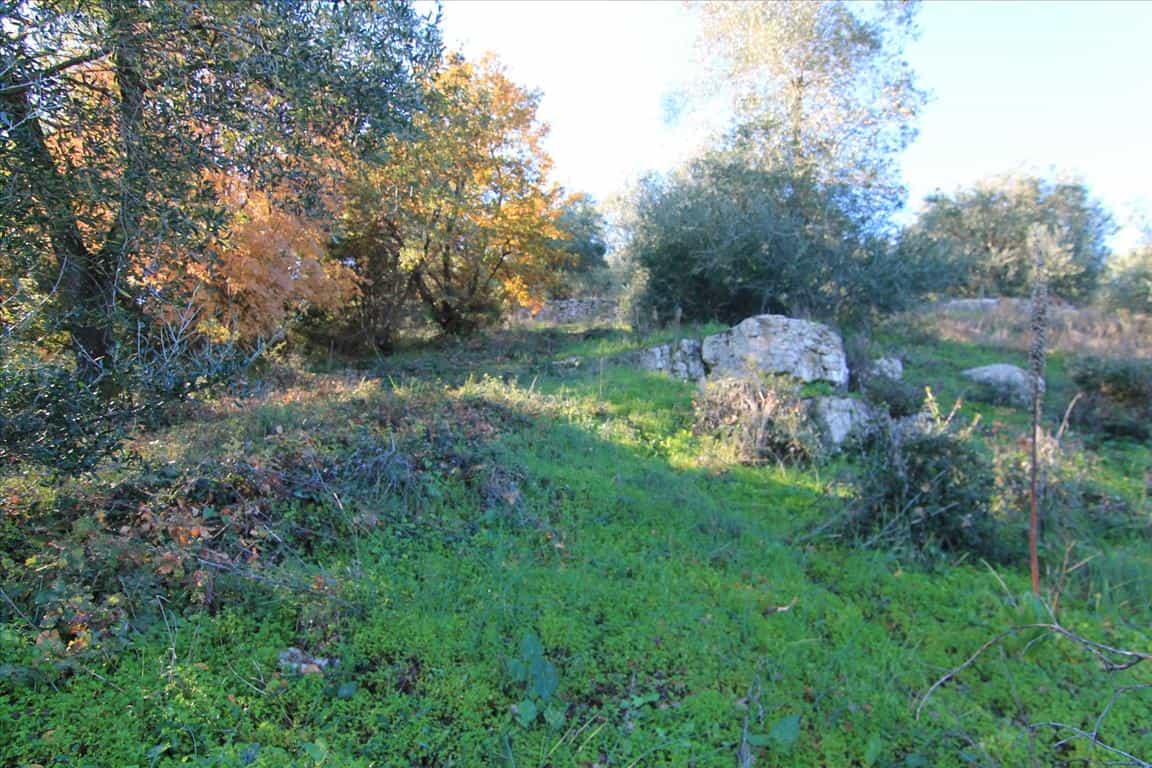 Tanah dalam Kassiopi, Ionia Nisia 10803012