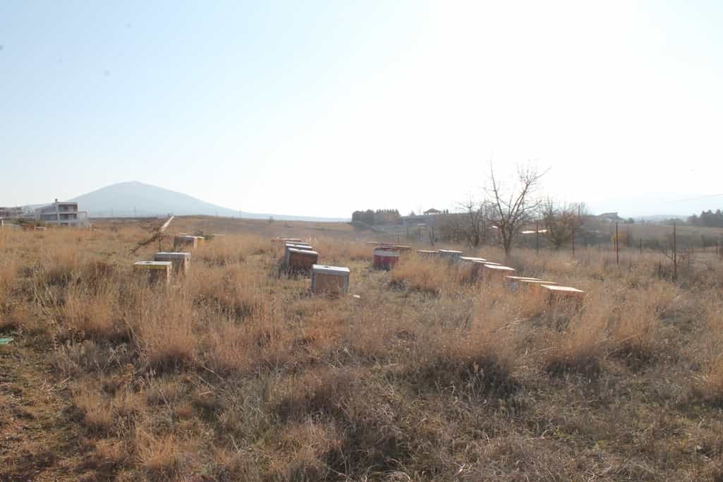 Land in Panorama, Kentriki Makedonia 10803026