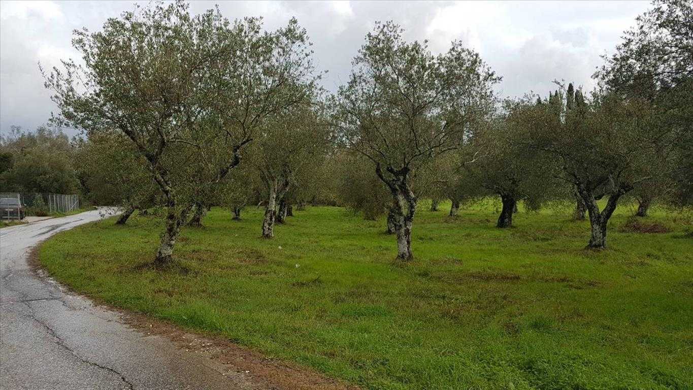 Land in Doukades, Ionia Nisia 10803099