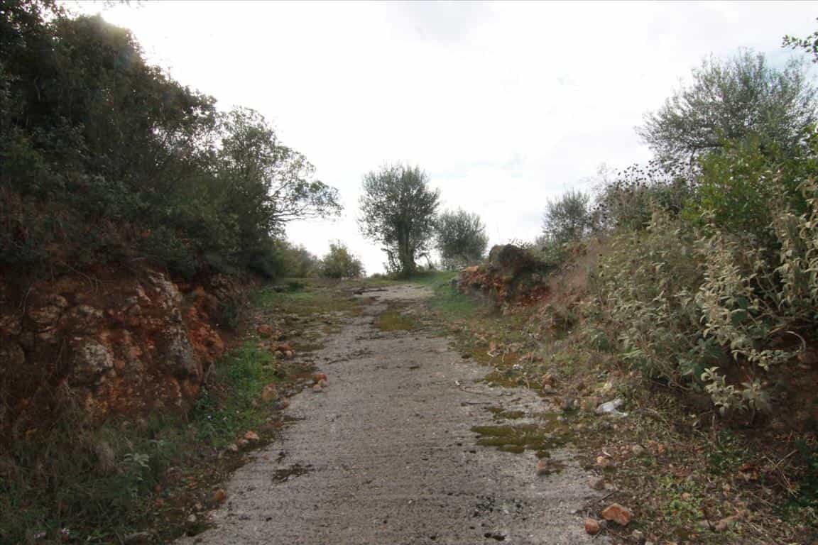 Land in Thermi, Kentriki Makedonia 10803231