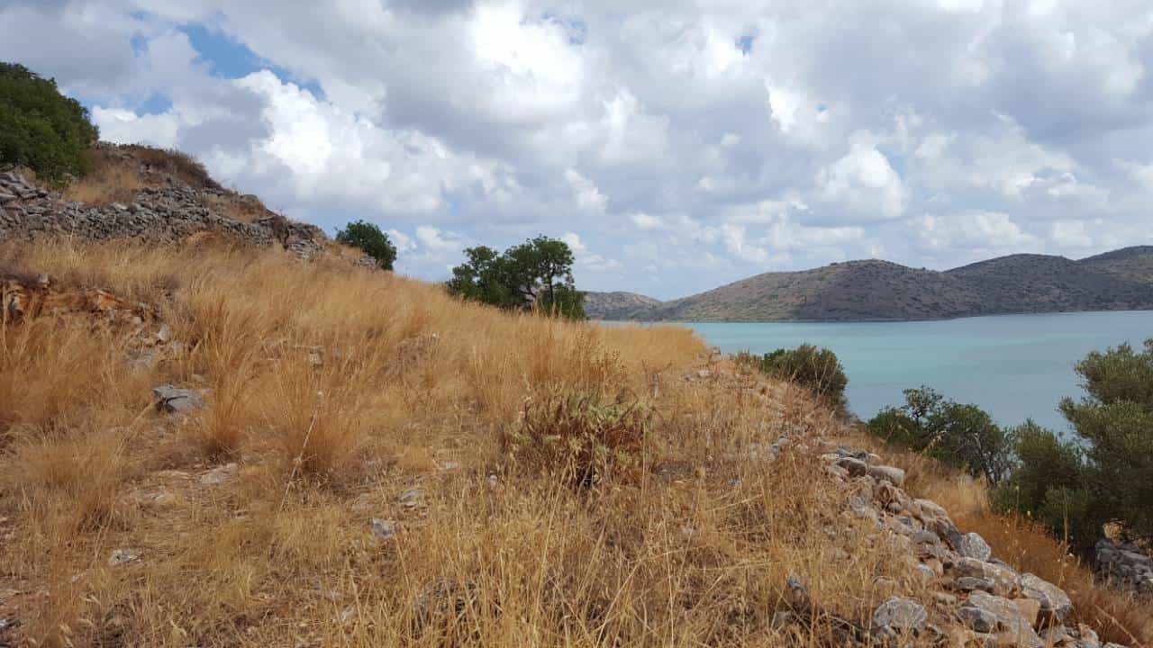 Land in Atsimpraga, Kriti 10803371