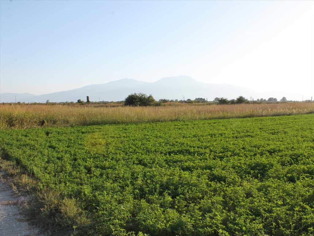 Land in Paralia, Kentriki Makedonia 10803530