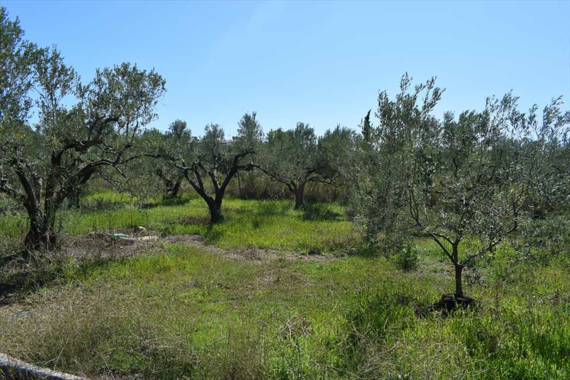 Tanah dalam Nea Kallikrateia, Kentriki Makedonia 10803547