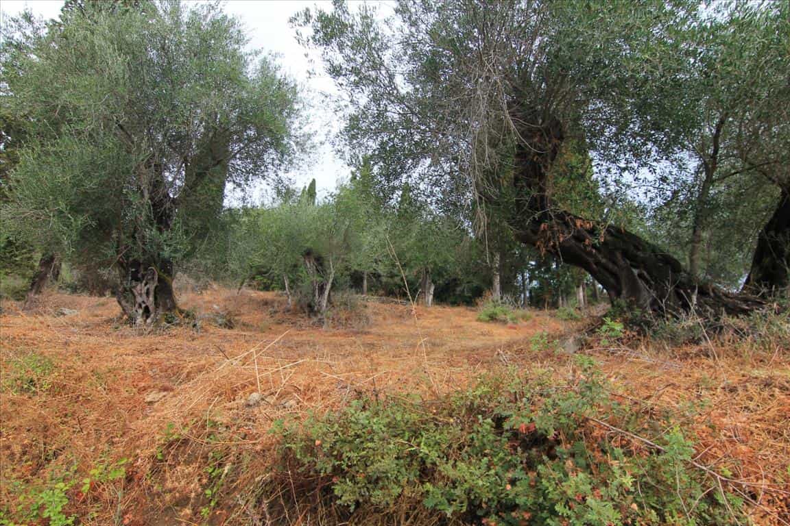 Land in Kynopiasten, Ionië Nisia 10803568