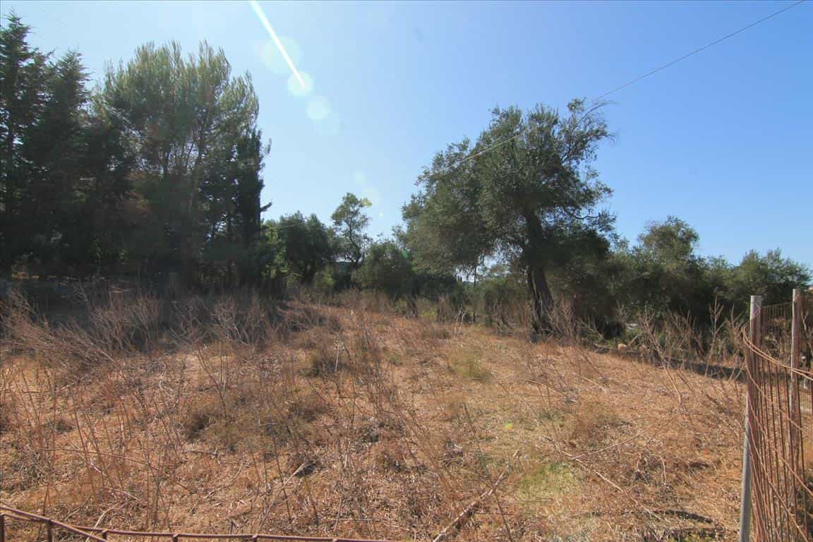 Land in Alepou, Ionia Nisia 10803577