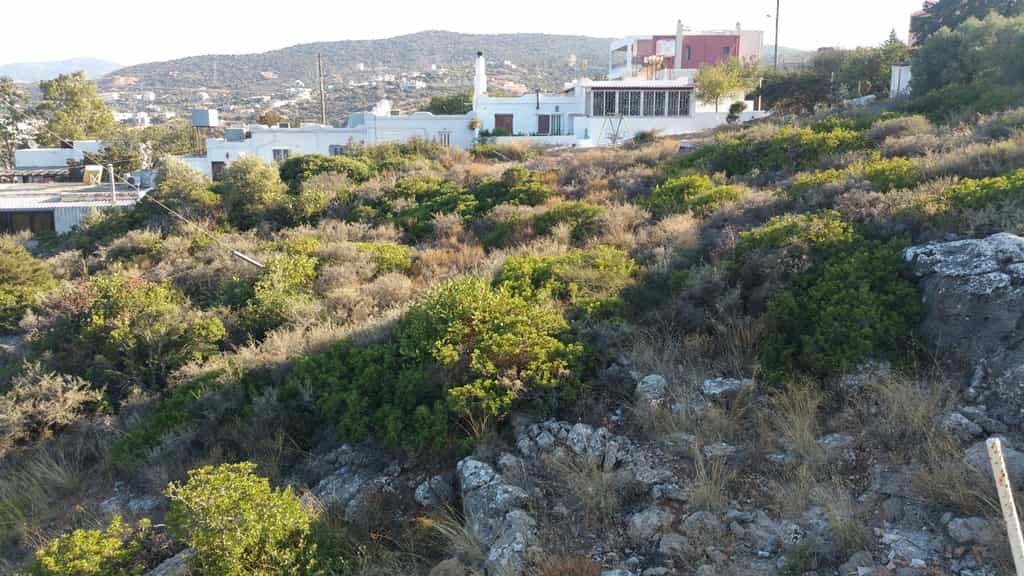 Земельные участки в Ацимпрага, Крити 10803606