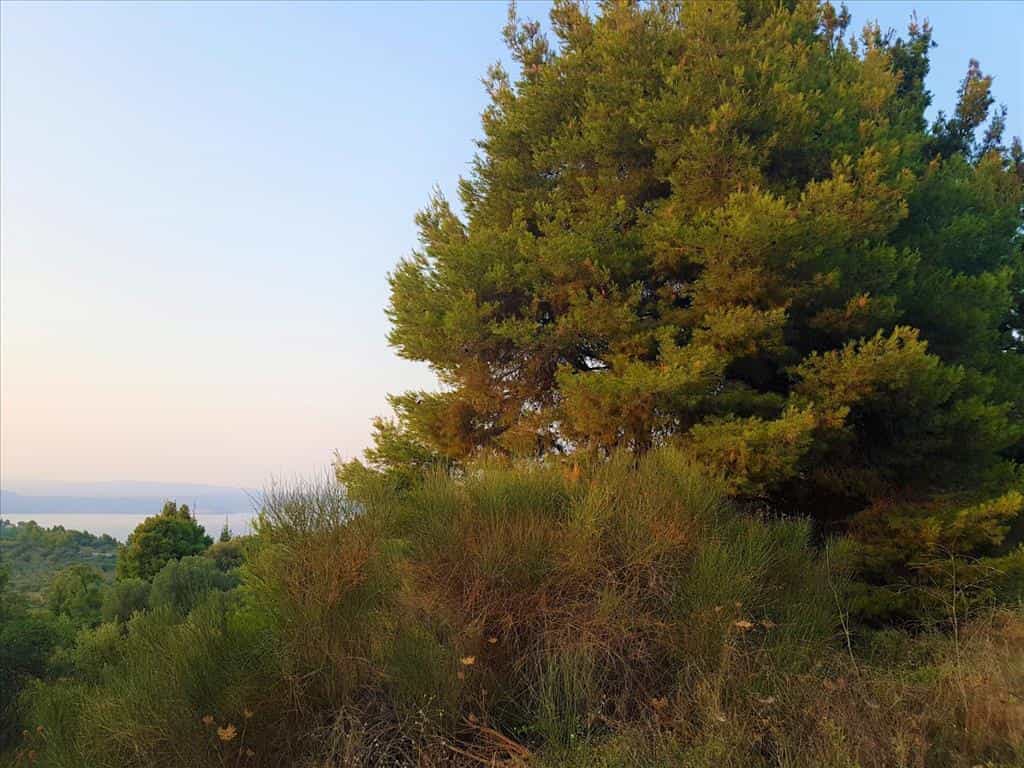 土地 在 Agios Nikolaos,  10803696