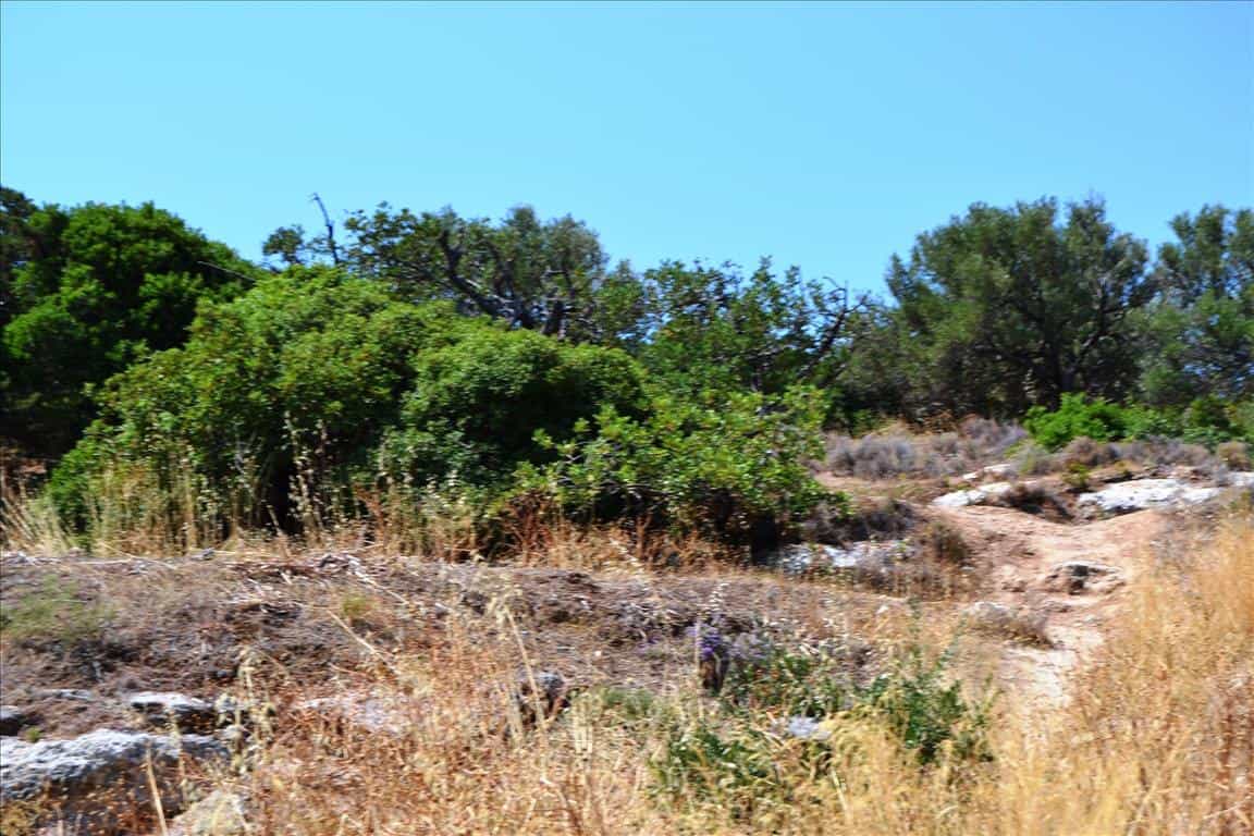 Land im Agios Nikolaos, Kriti 10803861