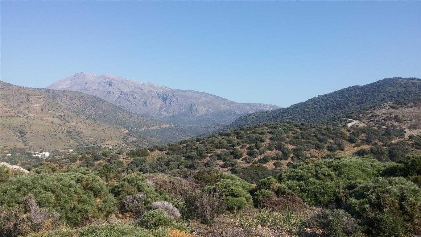 Land in Agia Galini, Kriti 10804007